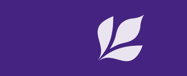 Leaf on purple background